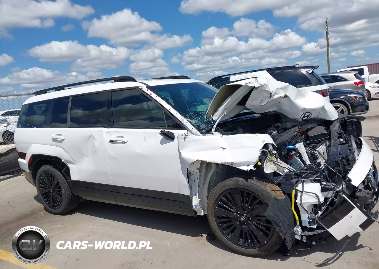 2026 Hyundai Santa Fe Hybrid Calligraphy VIN:5NMP5DG16TH131377 - 13