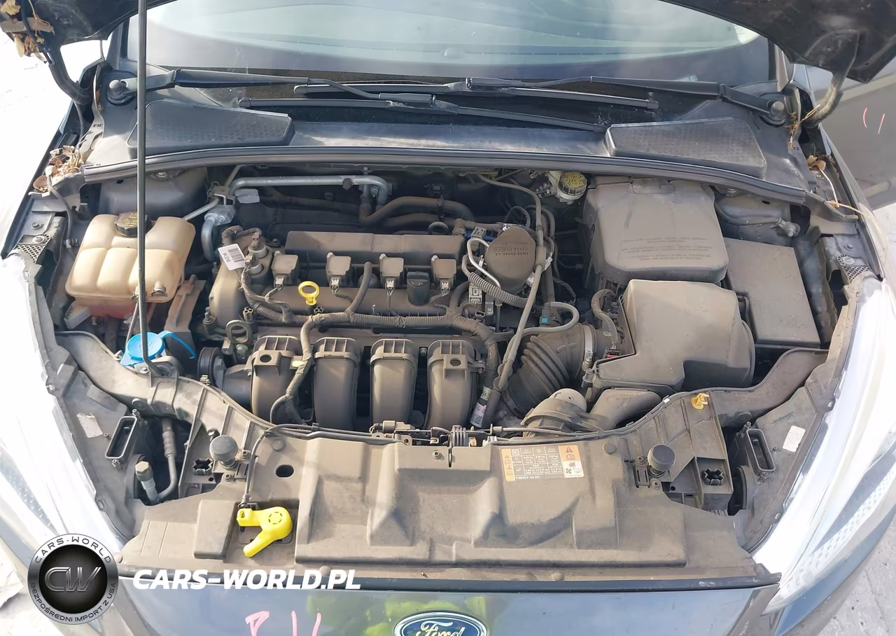 2016 Ford Focus Se VIN:1FADP3F27GL289125 - 10