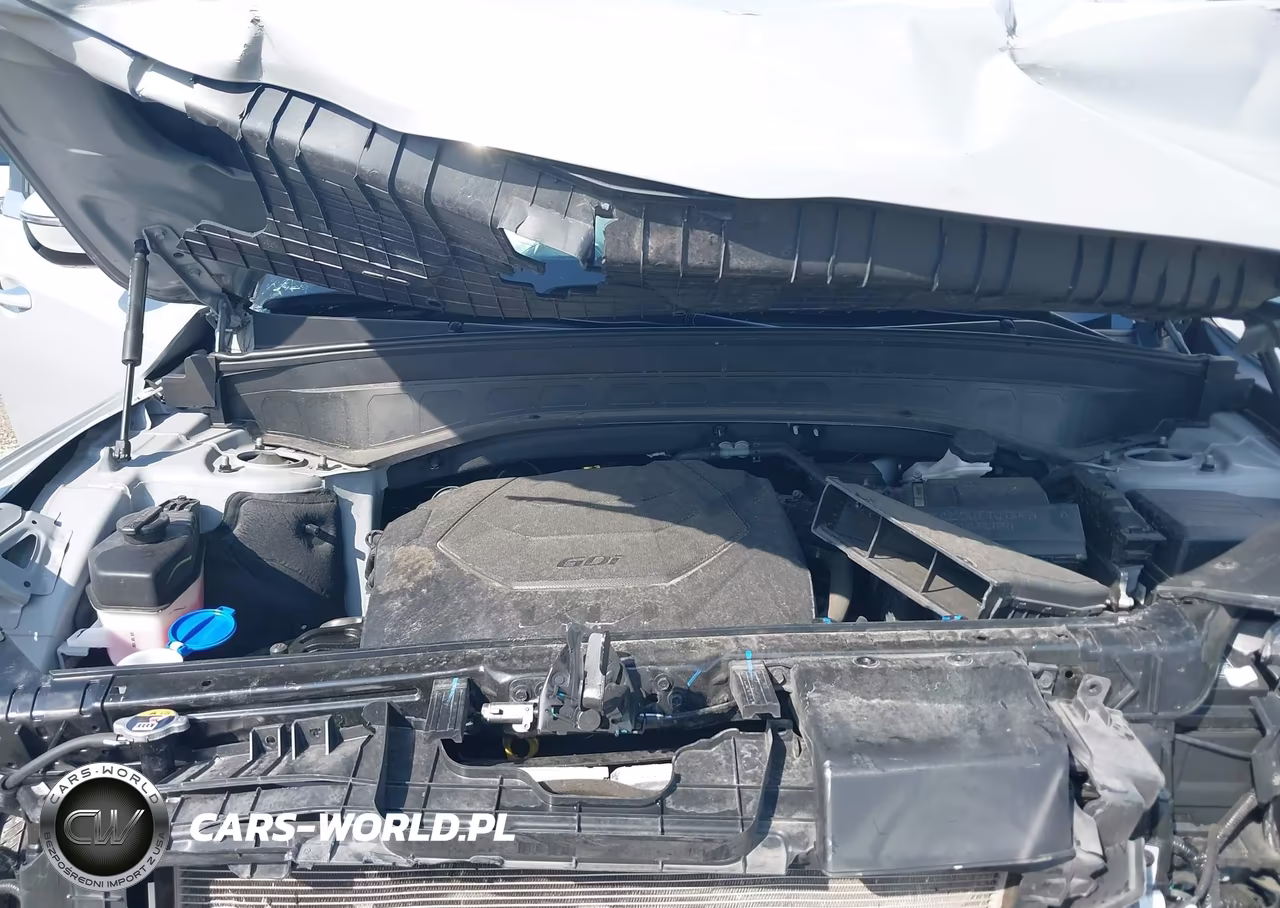 2024 Kia Telluride Sx-Sx Prestige-Sx Prestige X-Line-Sx Prestige X-Pro-Sx X-Line-Sx X-Pro VIN:5XYP5DGC4RG448918 - 10