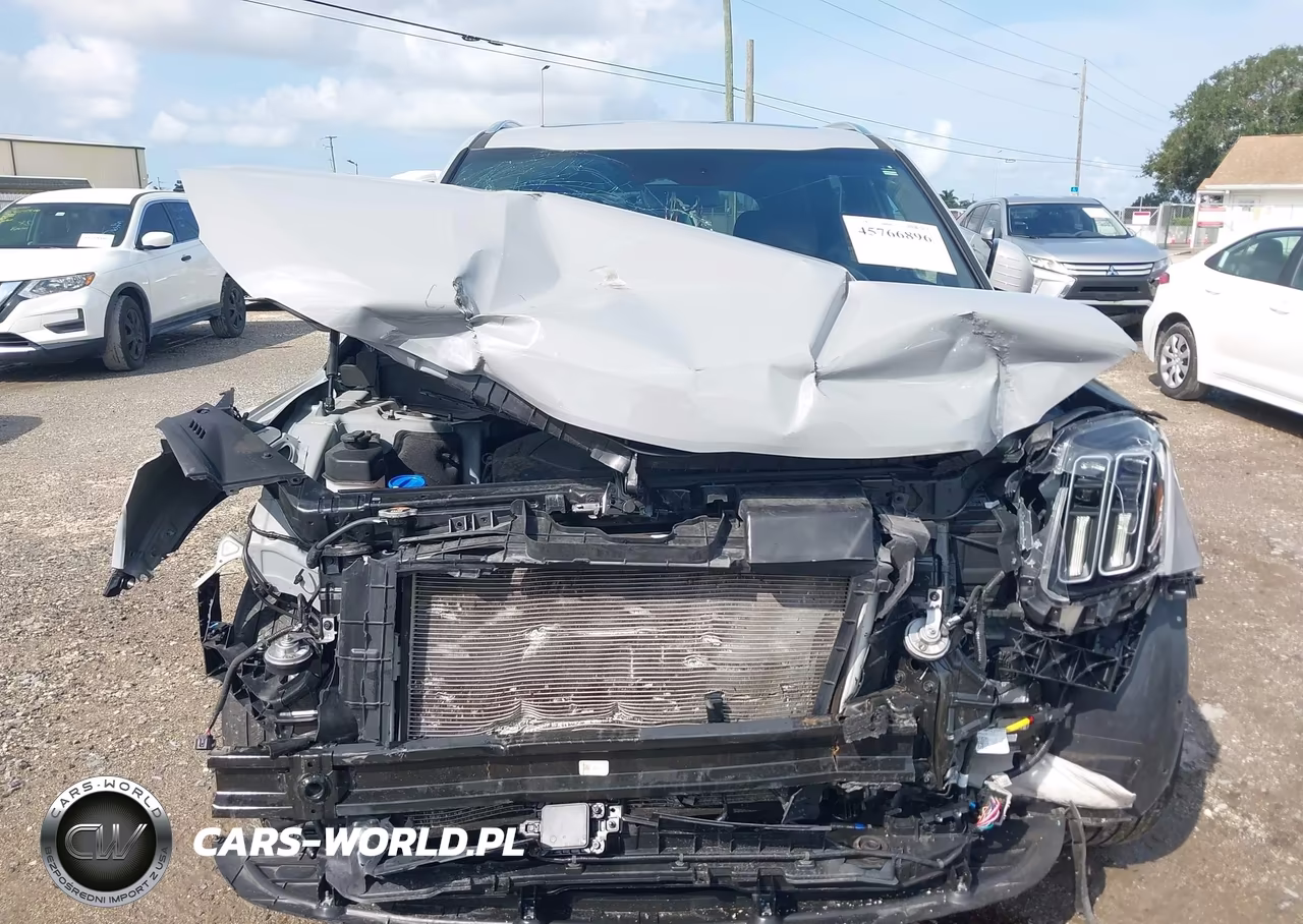 2024 Kia Telluride Sx-Sx Prestige-Sx Prestige X-Line-Sx Prestige X-Pro-Sx X-Line-Sx X-Pro VIN:5XYP5DGC4RG448918 - 13