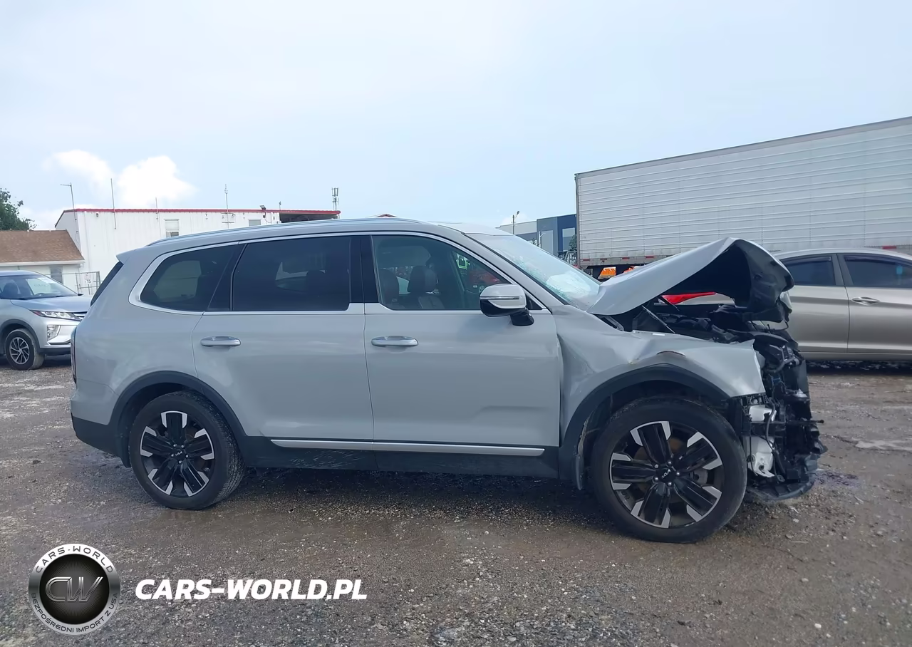 2024 Kia Telluride Sx-Sx Prestige-Sx Prestige X-Line-Sx Prestige X-Pro-Sx X-Line-Sx X-Pro VIN:5XYP5DGC4RG448918 - 14