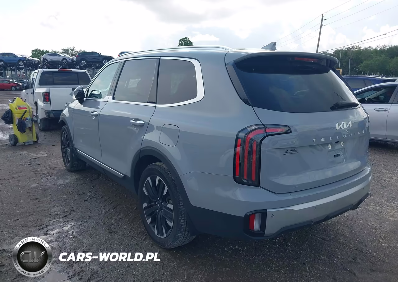 2024 Kia Telluride Sx-Sx Prestige-Sx Prestige X-Line-Sx Prestige X-Pro-Sx X-Line-Sx X-Pro VIN:5XYP5DGC4RG448918 - 3