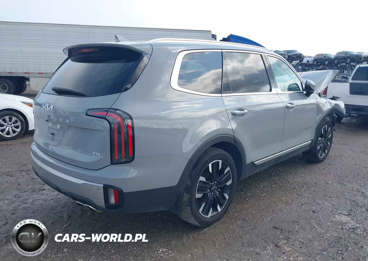 2024 Kia Telluride Sx-Sx Prestige-Sx Prestige X-Line-Sx Prestige X-Pro-Sx X-Line-Sx X-Pro VIN:5XYP5DGC4RG448918 - 4