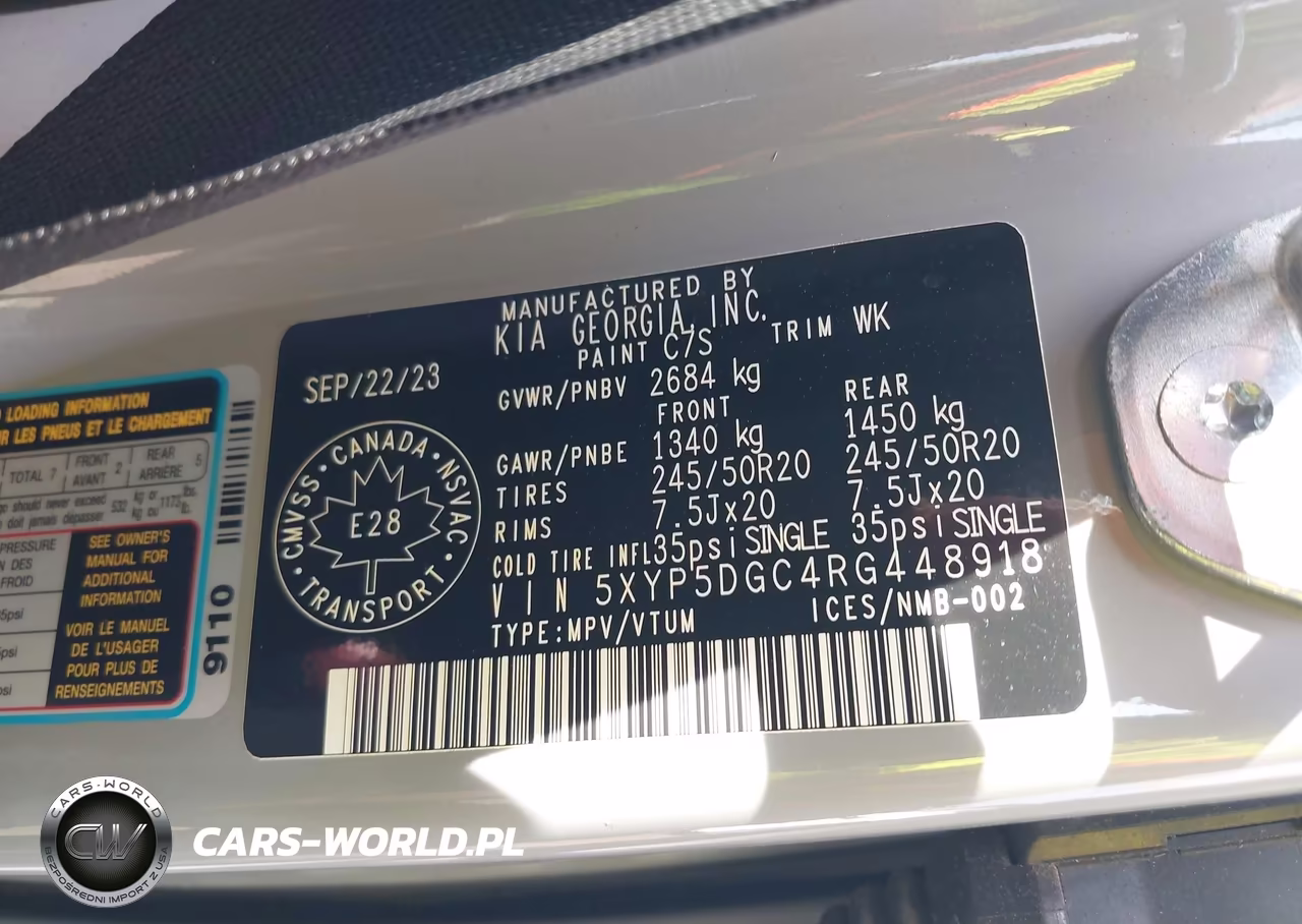 2024 Kia Telluride Sx-Sx Prestige-Sx Prestige X-Line-Sx Prestige X-Pro-Sx X-Line-Sx X-Pro VIN:5XYP5DGC4RG448918 - 9