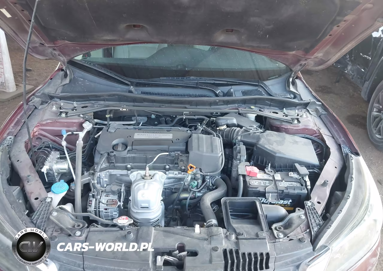 2014 Honda Accord Ex-L VIN:1HGCR2F87EA308832 - 10
