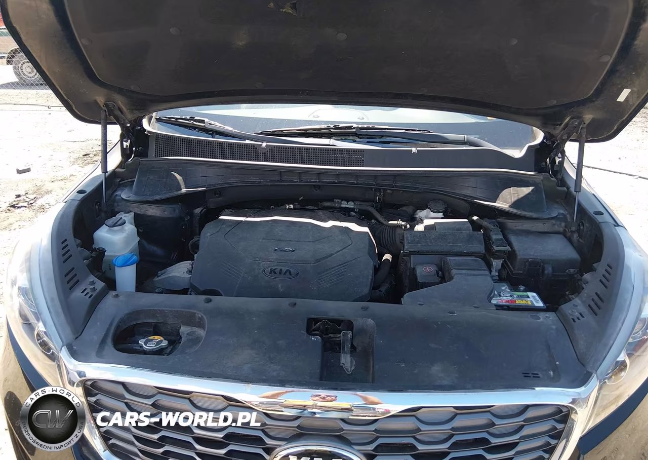 2019 Kia Sorento 3.3L Ex VIN:5XYPH4A55KG506526 - 10