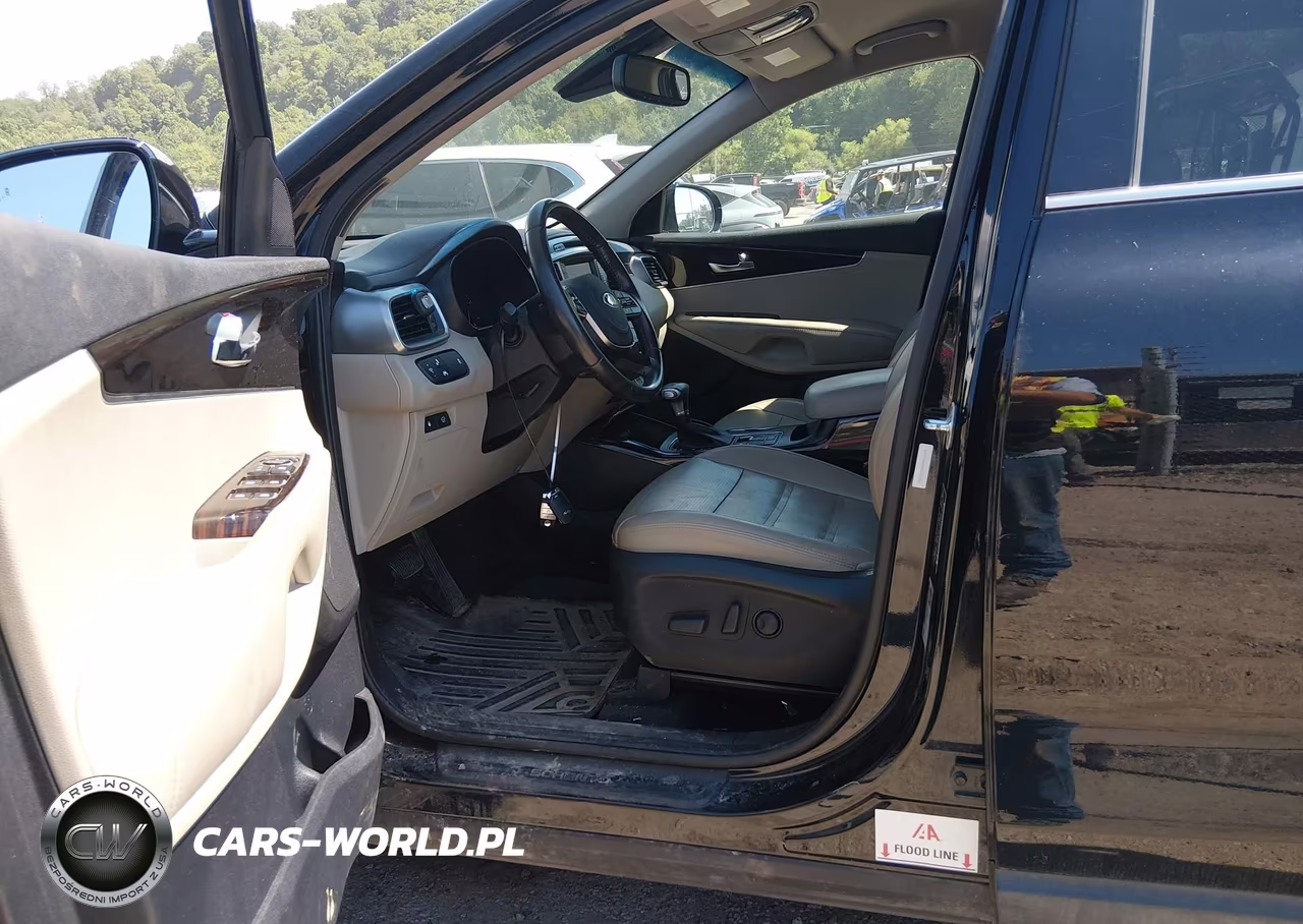2019 Kia Sorento 3.3L Ex VIN:5XYPH4A55KG506526 - 6