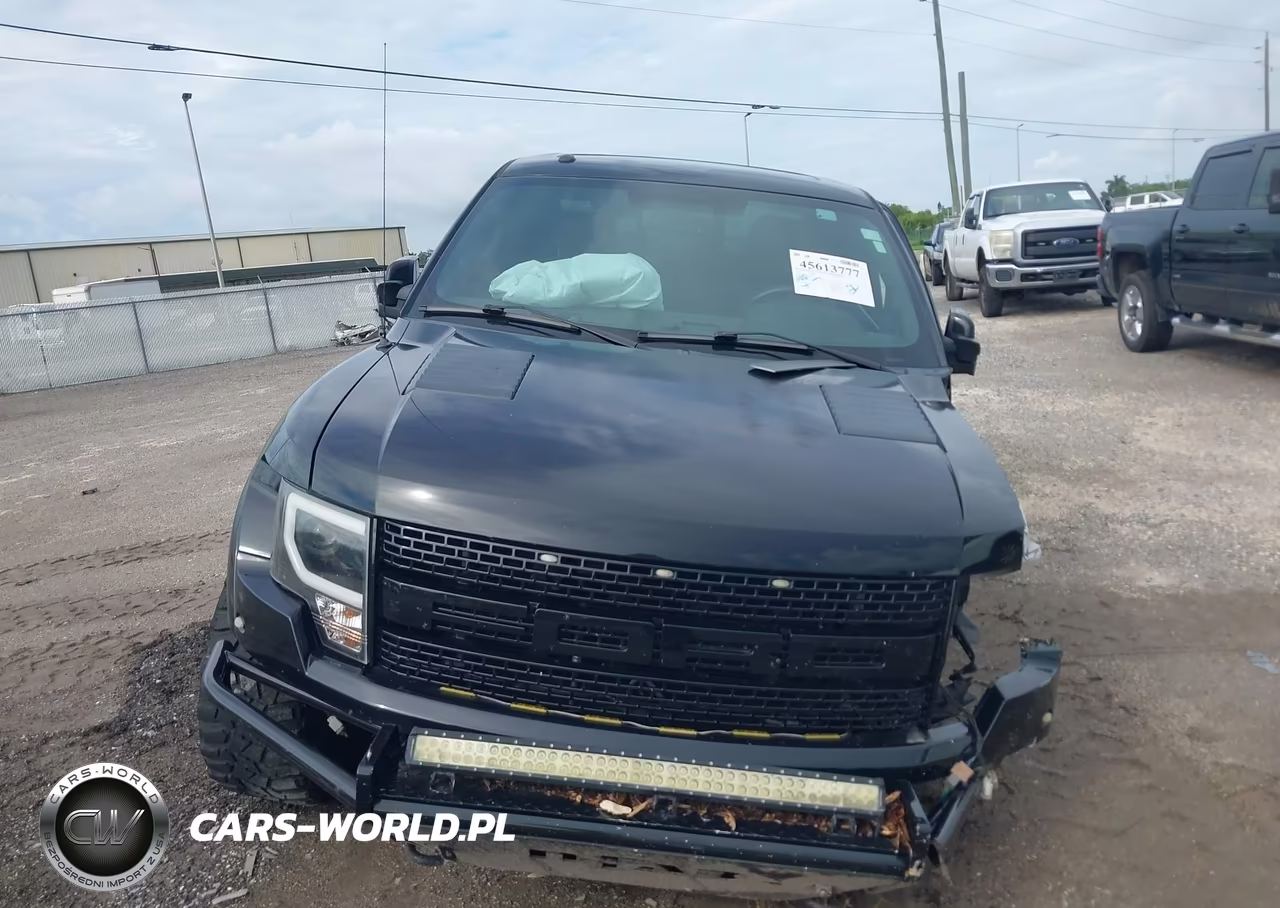 2010 Ford F-150 Svt Raptor VIN:1FTEX1E62AFB96736 - 12