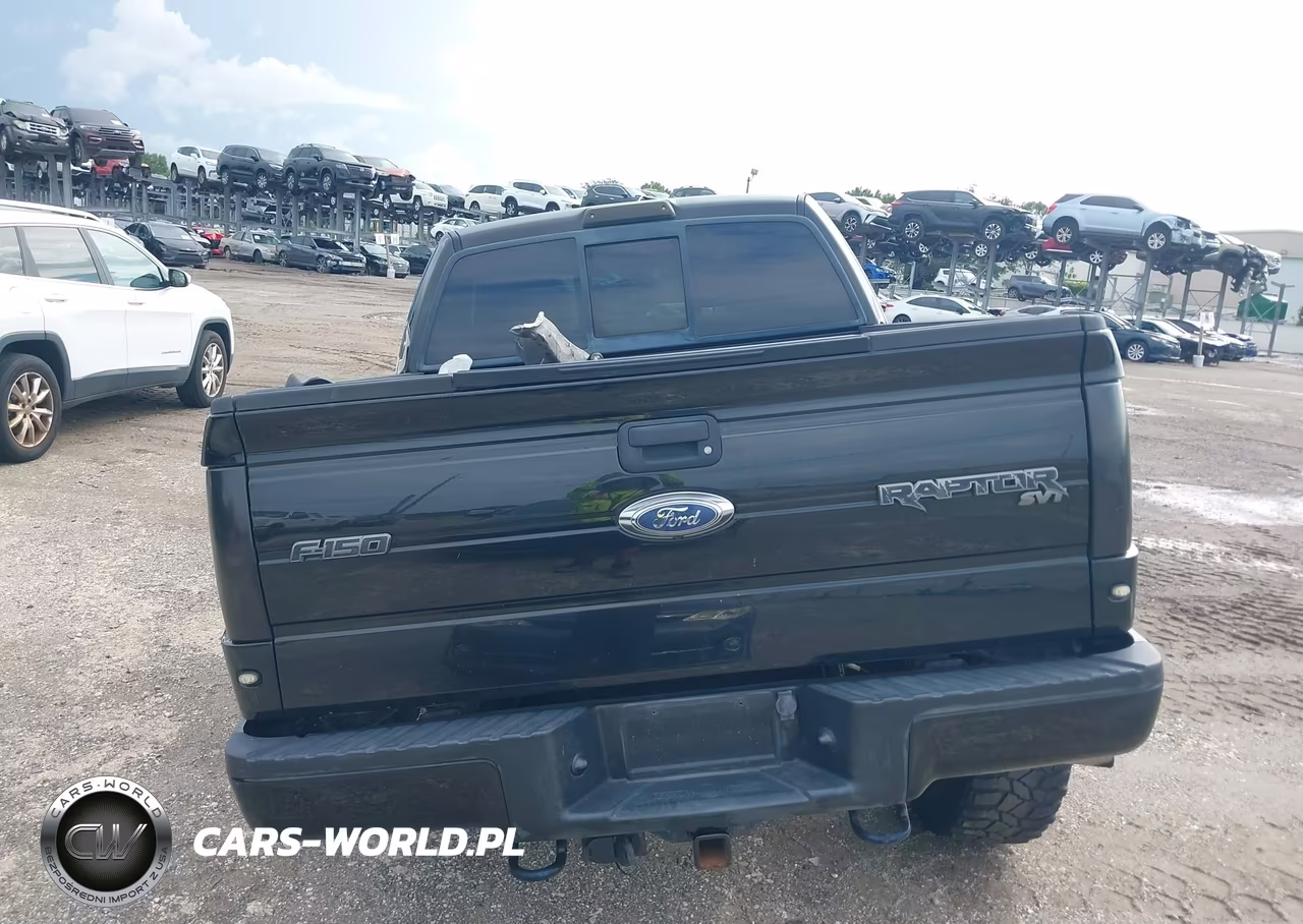 2010 Ford F-150 Svt Raptor VIN:1FTEX1E62AFB96736 - 16