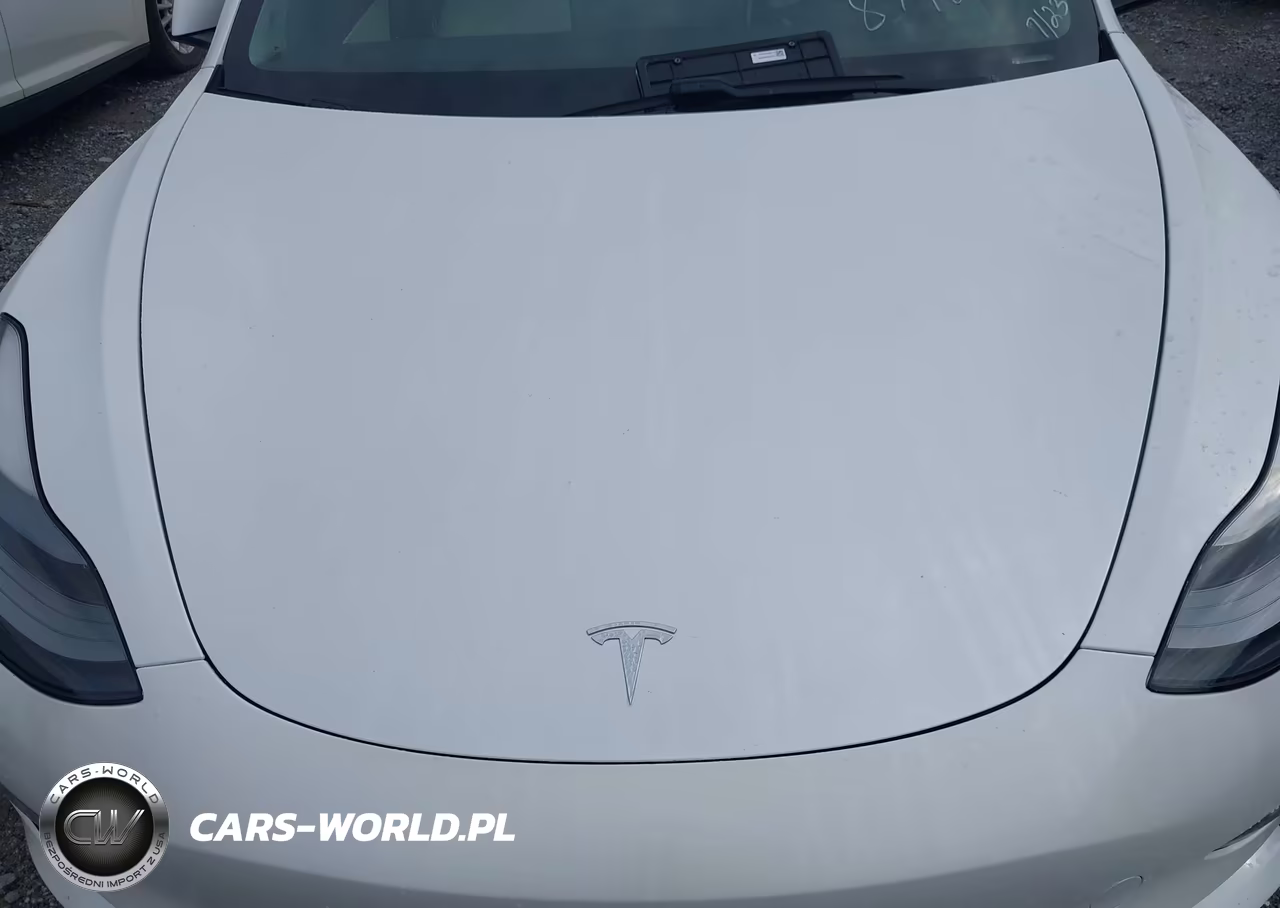 2021 Tesla Model 3 Standard Range Plus Rear-Wheel Drive VIN:5YJ3E1EA5MF879248 - 10