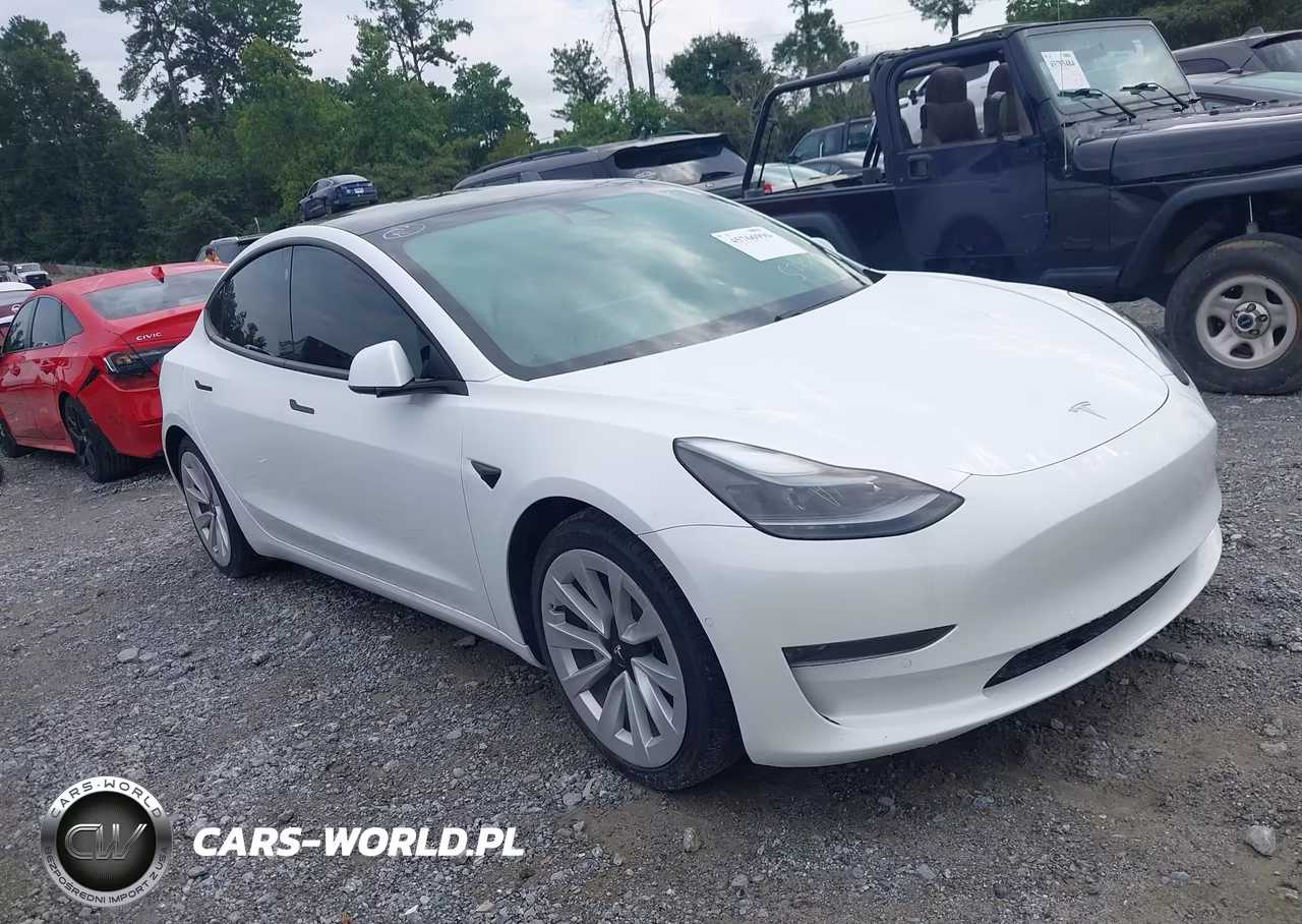 2021 Tesla Model 3 Standard Range Plus Rear-Wheel Drive VIN:5YJ3E1EA5MF879248 - 13