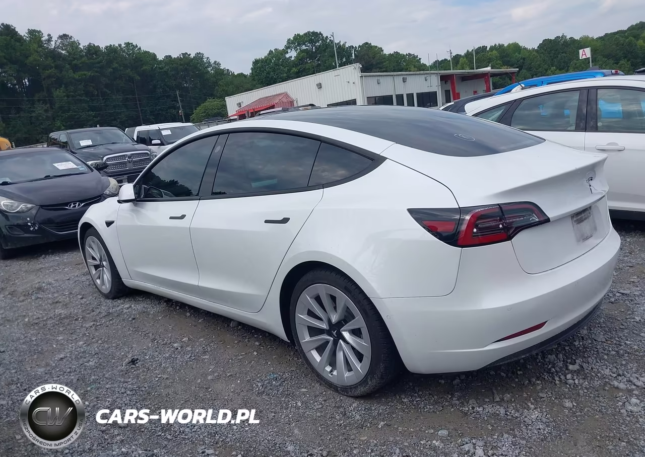 2021 Tesla Model 3 Standard Range Plus Rear-Wheel Drive VIN:5YJ3E1EA5MF879248 - 14