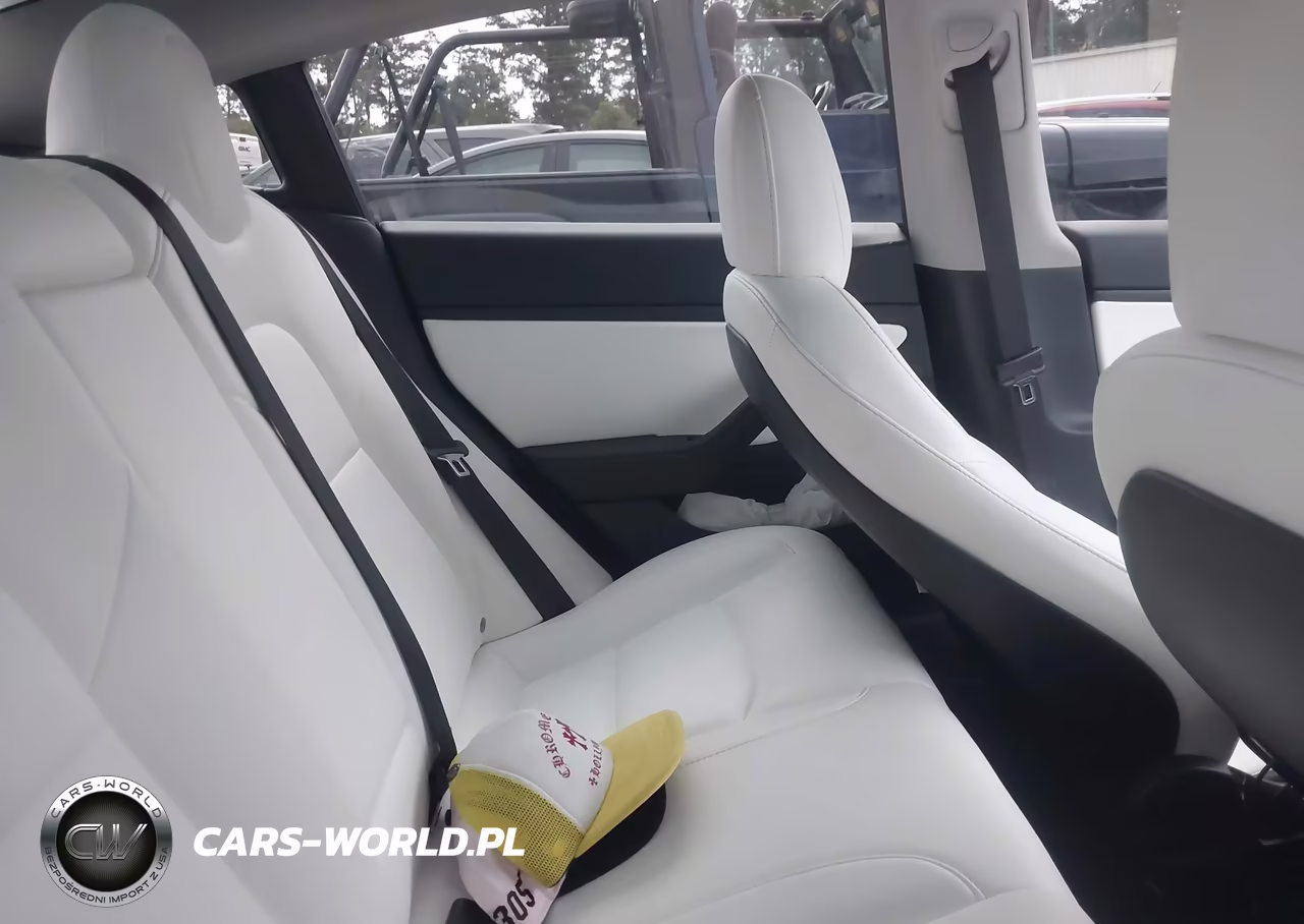 2021 Tesla Model 3 Standard Range Plus Rear-Wheel Drive VIN:5YJ3E1EA5MF879248 - 8