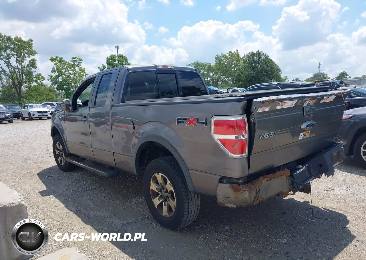 2011 Ford F-150 Fx4 VIN:1FTFX1EF6BFC33972 - 3