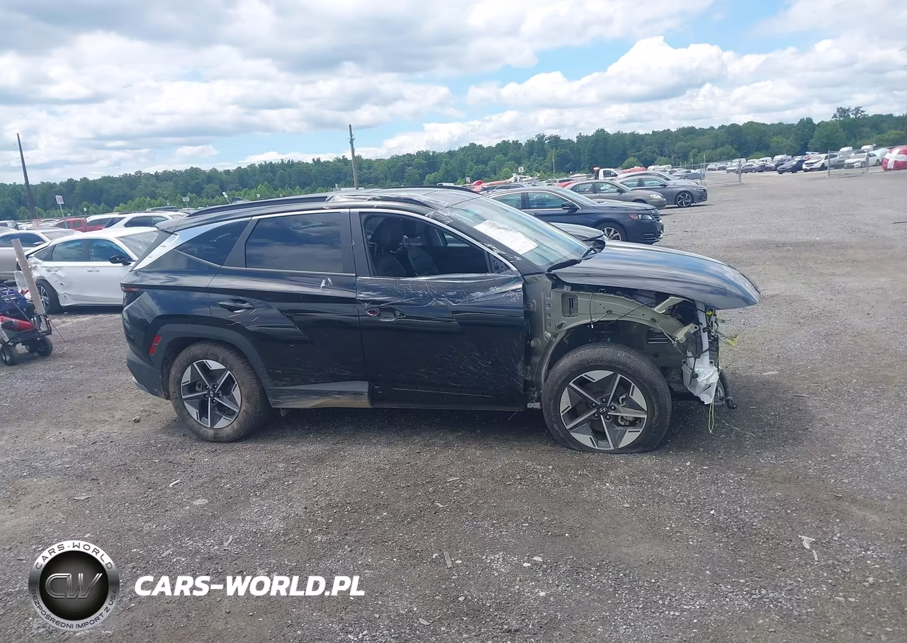 2025 Hyundai Tucson Sel Convenience VIN:3KMJCCDEXSE015597 - 13