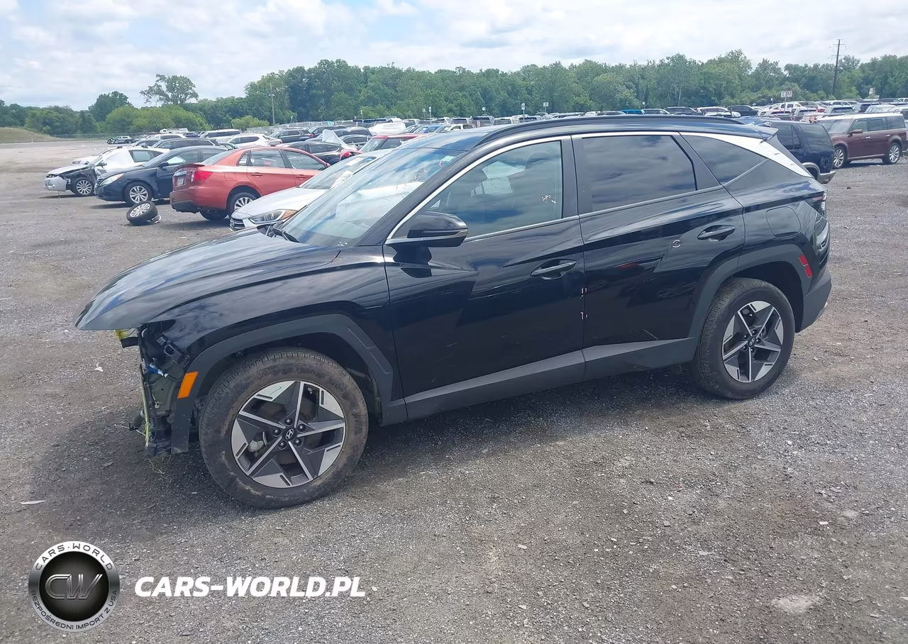2025 Hyundai Tucson Sel Convenience VIN:3KMJCCDEXSE015597 - 2