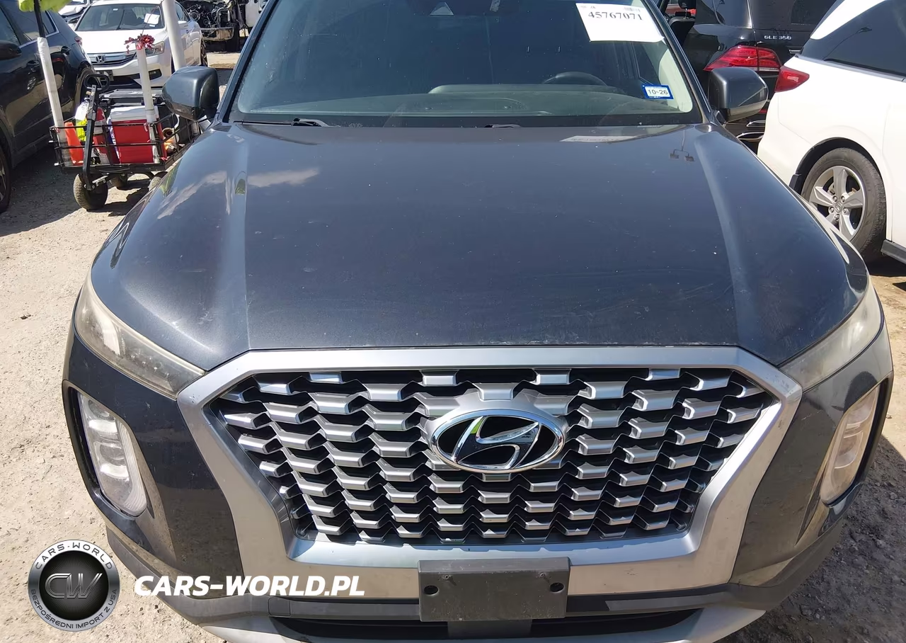 2020 Hyundai Palisade Se VIN:KM8R14HE5LU071828 - 13