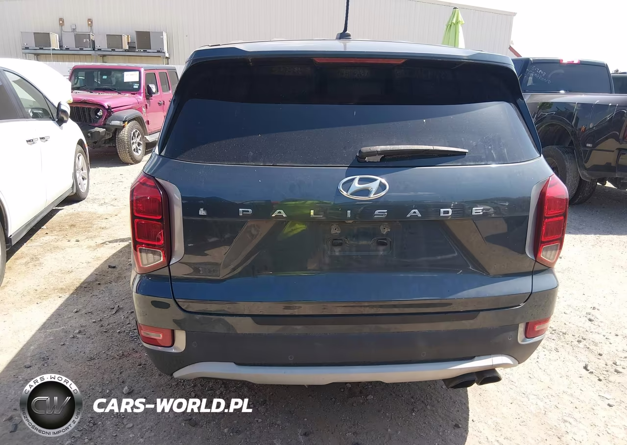 2020 Hyundai Palisade Se VIN:KM8R14HE5LU071828 - 17