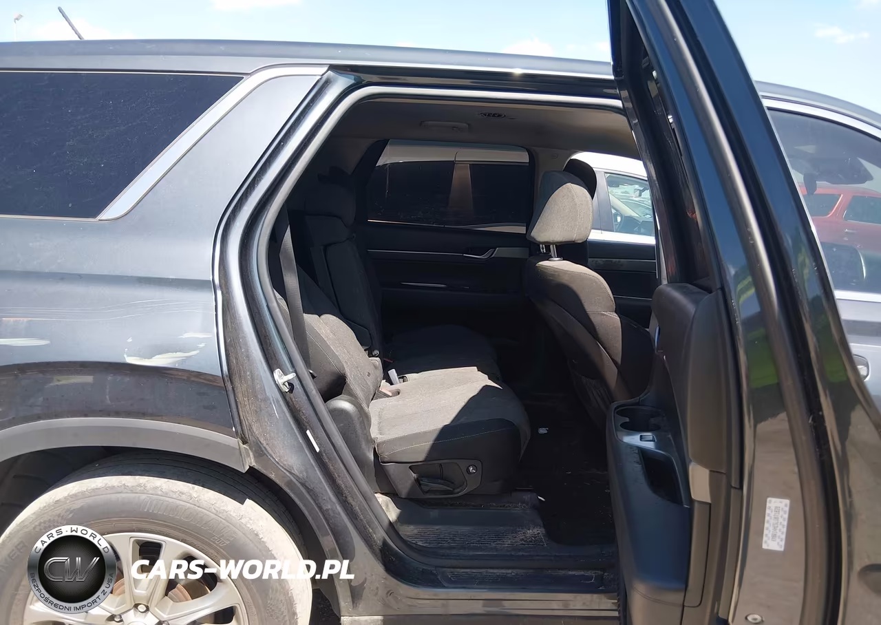 2020 Hyundai Palisade Se VIN:KM8R14HE5LU071828 - 8