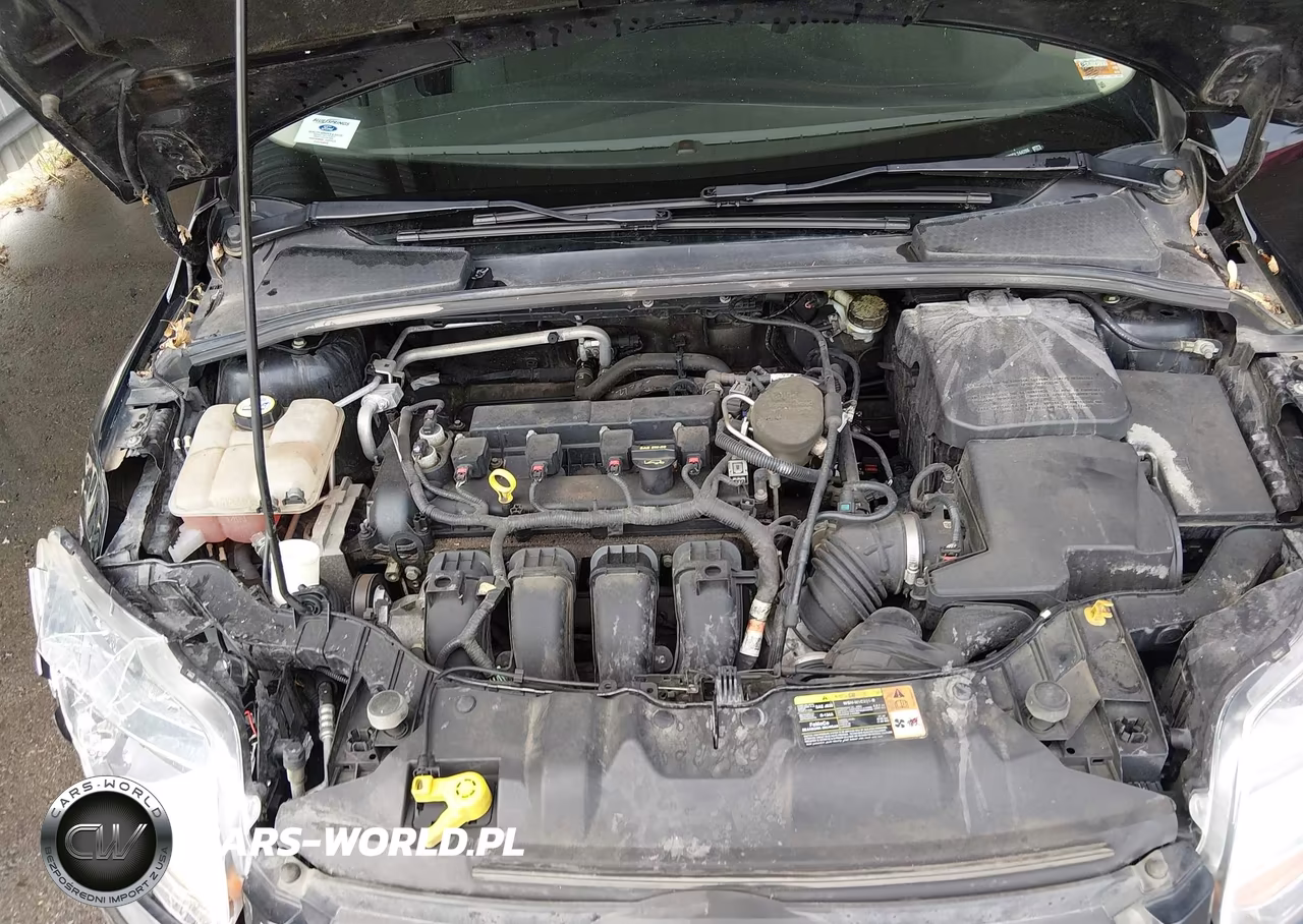 2013 Ford Focus Se VIN:1FADP3K22DL244286 - 10