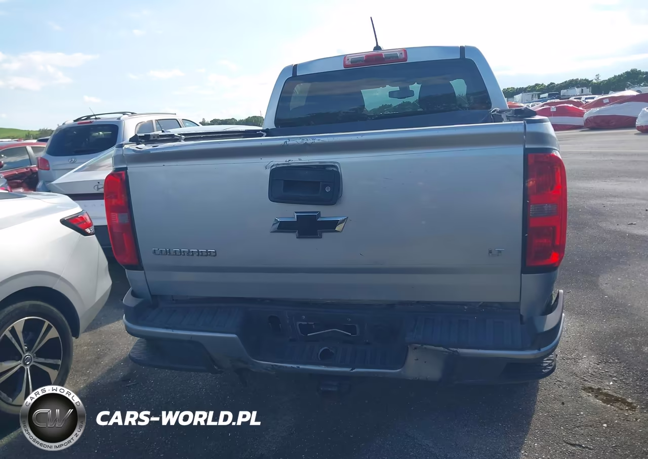 2016 Chevrolet Colorado 2Wd Lt VIN:1GCGSCEA4G1217146 - 16