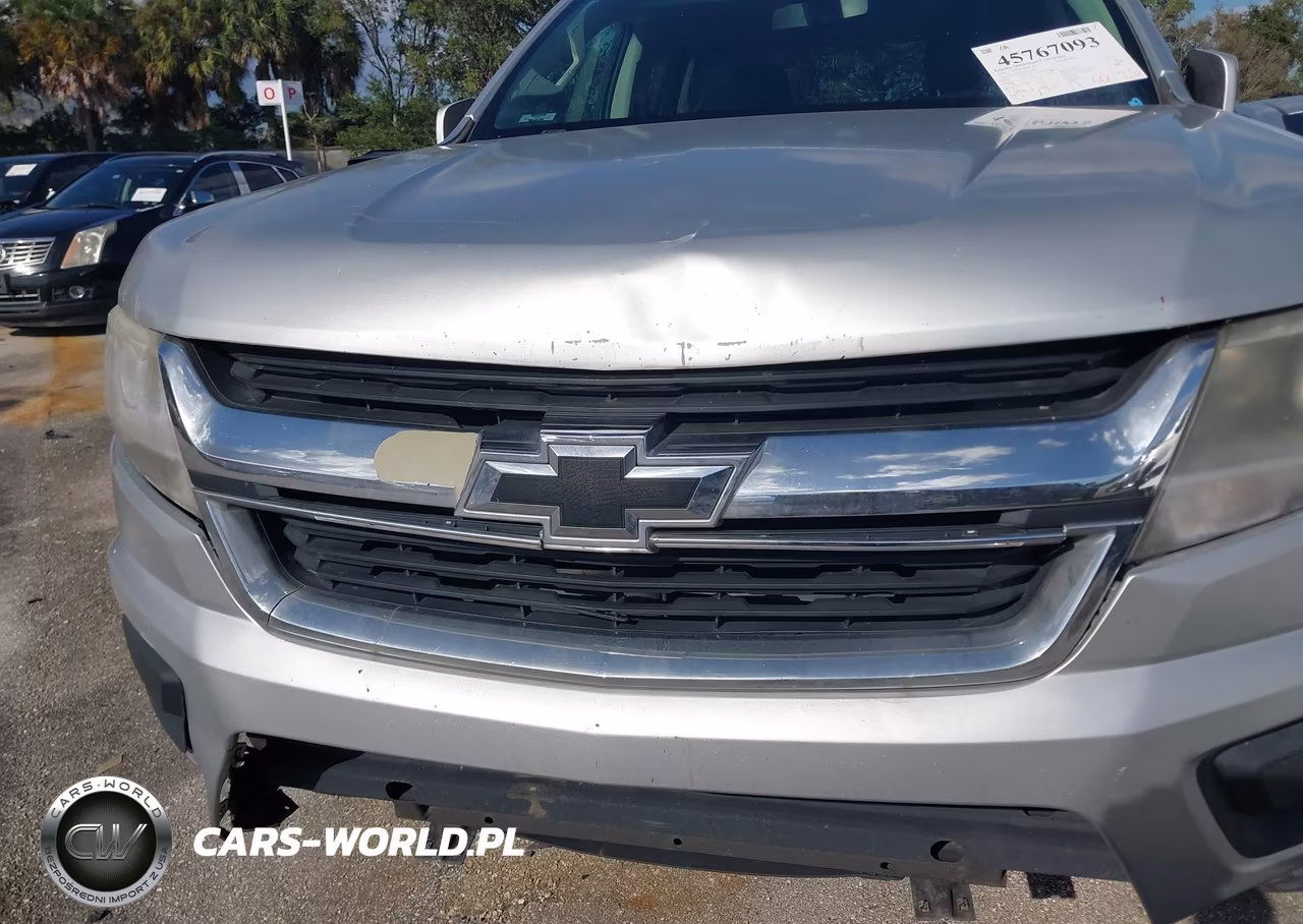 2016 Chevrolet Colorado 2Wd Lt VIN:1GCGSCEA4G1217146 - 17