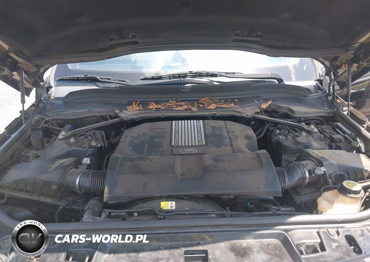 2016 Land Rover Range Rover Sport 5.0L V8 Supercharged-5.0L V8 Supercharged Dynamic VIN:SALWR2EF0GA553205 - 10