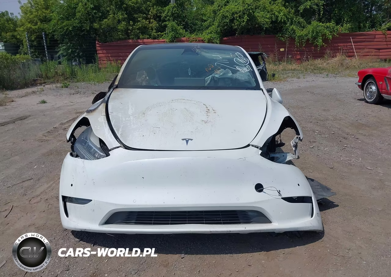 2020 Tesla Model Y Long Range Dual Motor All-Wheel Drive VIN:5YJYGDEE1LF057114 - 10