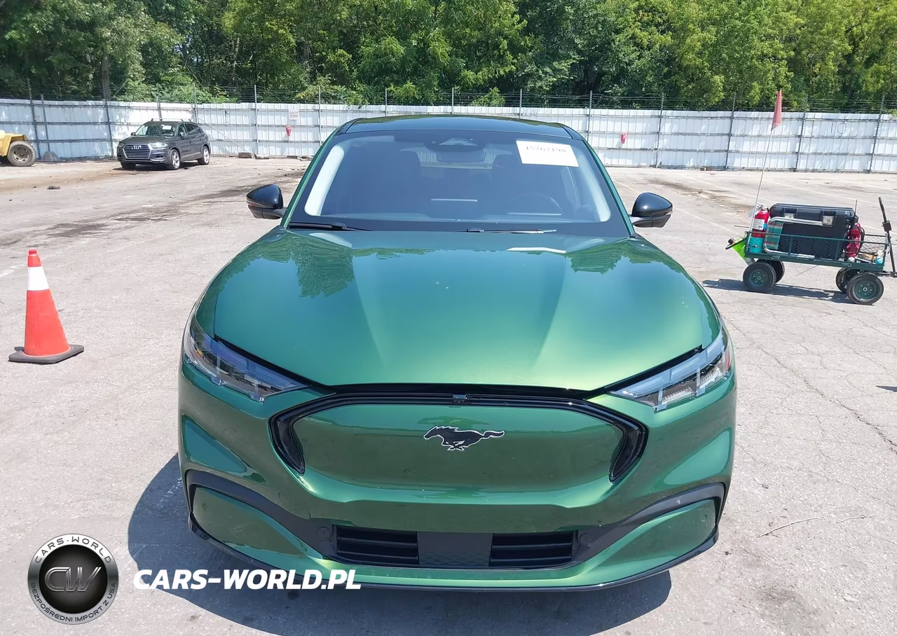 2024 Ford Mustang Mach-E Premium VIN:3FMTK3SU5RMA16936 - 12