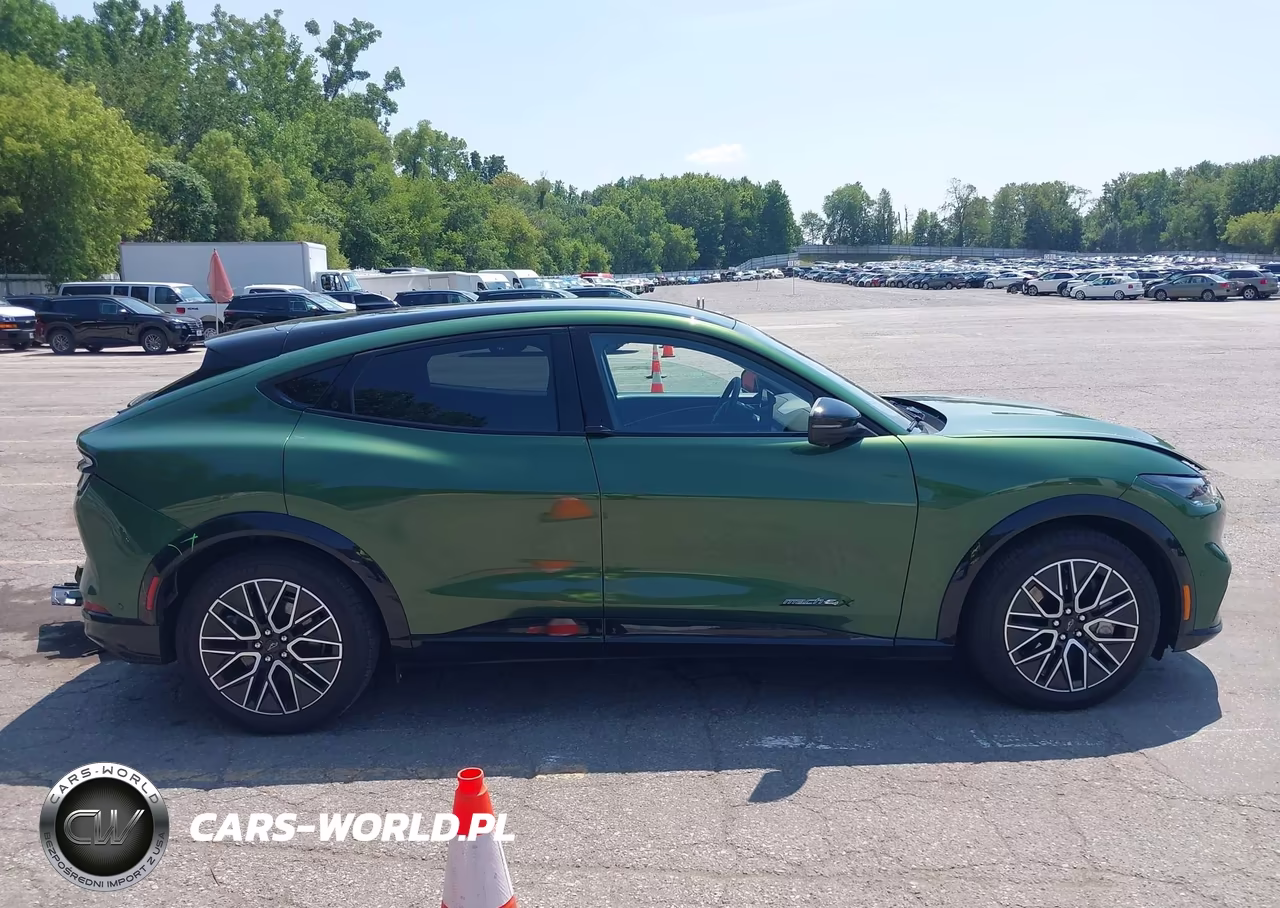 2024 Ford Mustang Mach-E Premium VIN:3FMTK3SU5RMA16936 - 13