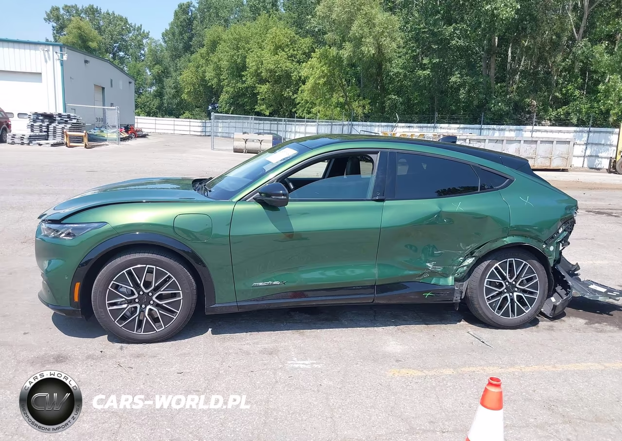2024 Ford Mustang Mach-E Premium VIN:3FMTK3SU5RMA16936 - 14