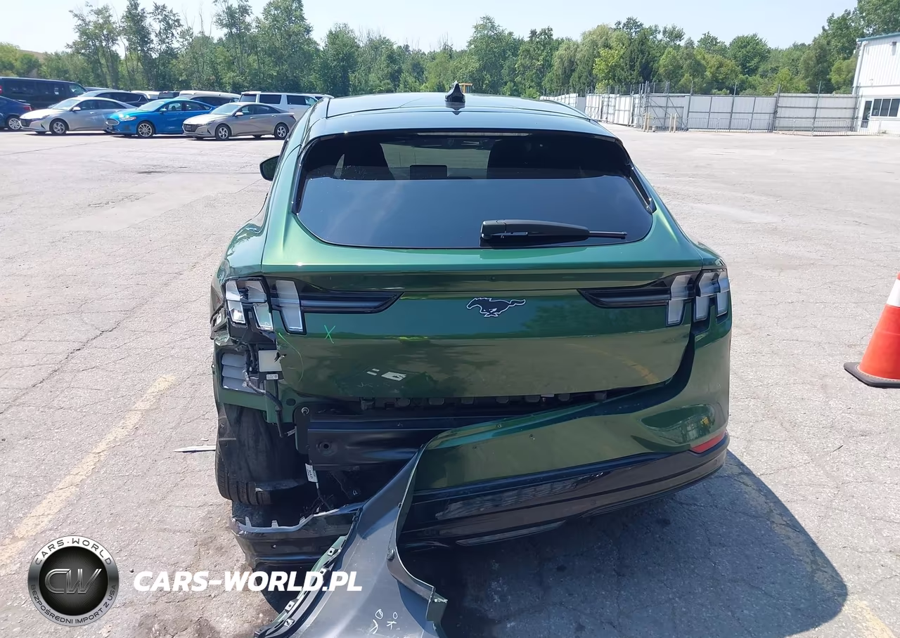 2024 Ford Mustang Mach-E Premium VIN:3FMTK3SU5RMA16936 - 16