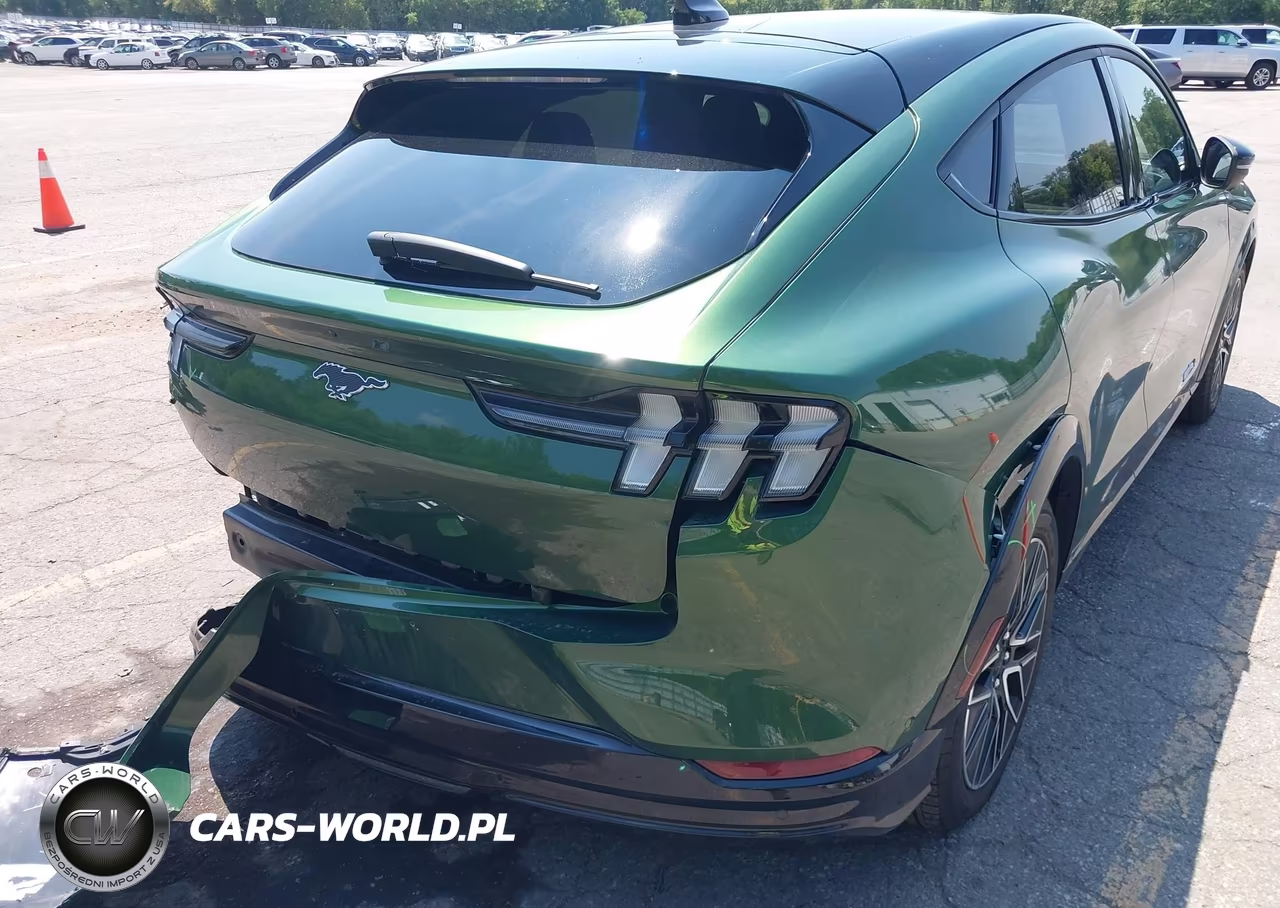 2024 Ford Mustang Mach-E Premium VIN:3FMTK3SU5RMA16936 - 22