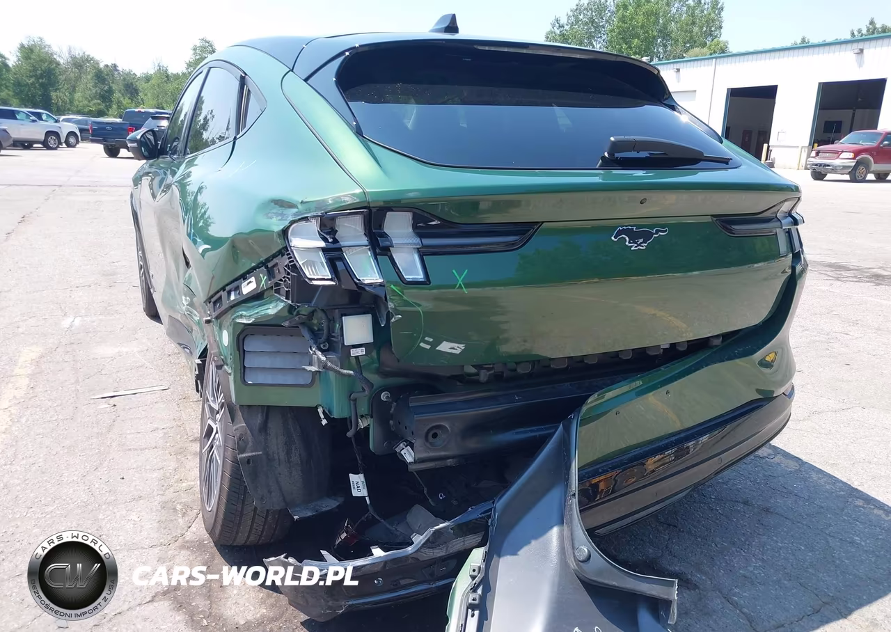 2024 Ford Mustang Mach-E Premium VIN:3FMTK3SU5RMA16936 - 23