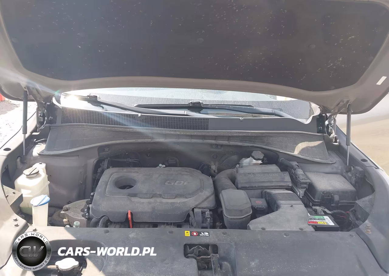 2017 Kia Sorento 2.4L Lx VIN:5XYPG4A31HG335137 - 10