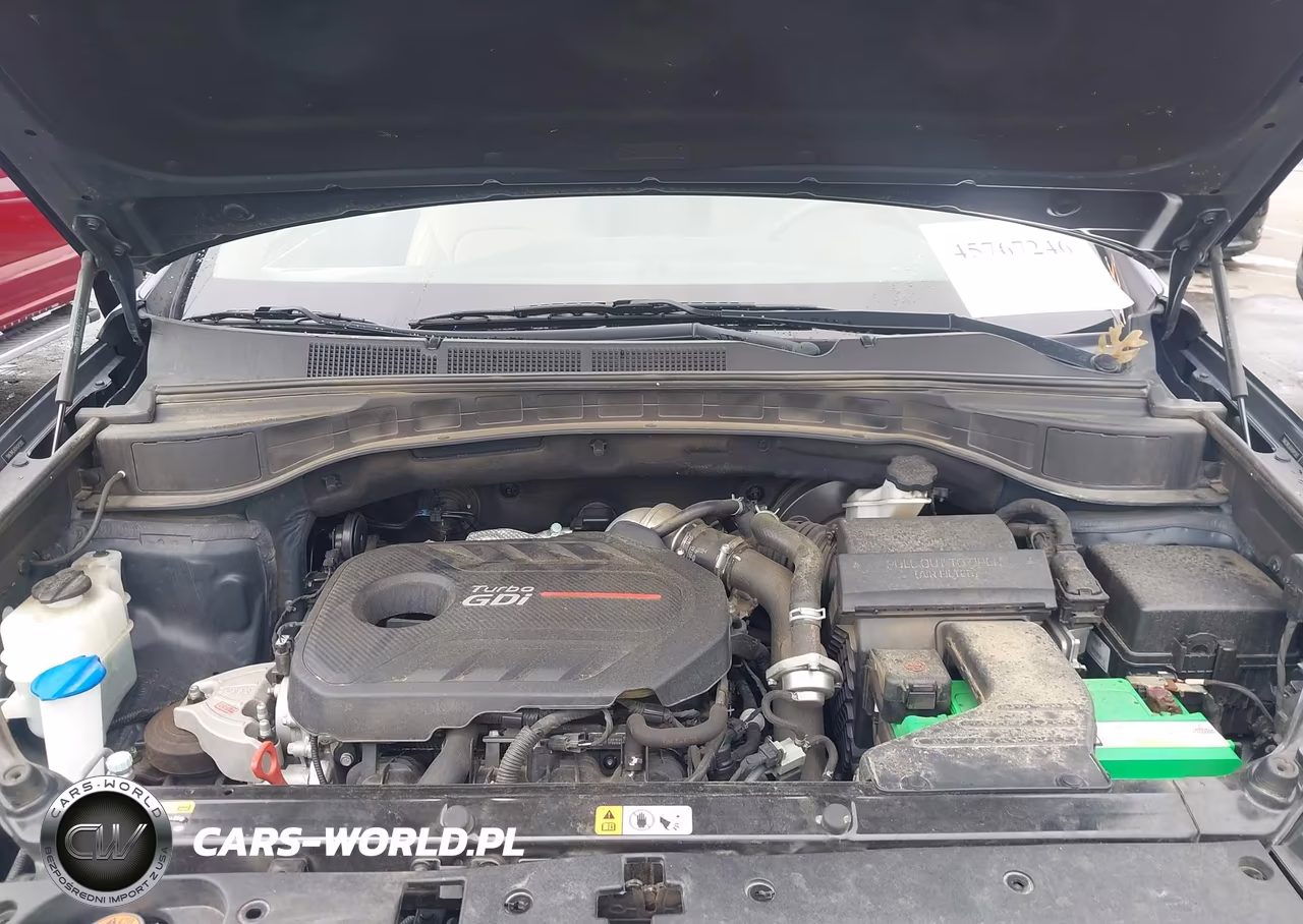 2017 Hyundai Santa Fe Sport 2.0T Ultimate VIN:5NMZW4LA0HH045565 - 10