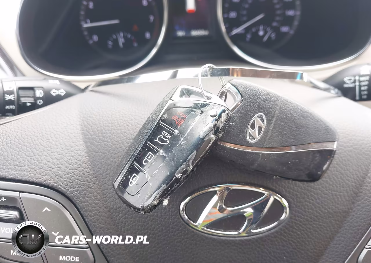 2017 Hyundai Santa Fe Sport 2.0T Ultimate VIN:5NMZW4LA0HH045565 - 11