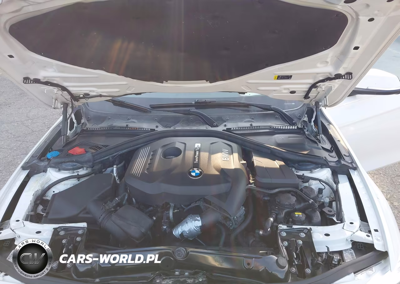 2018 BMW 330I xDrive VIN:WBA8D9C5XJA615246 - 10