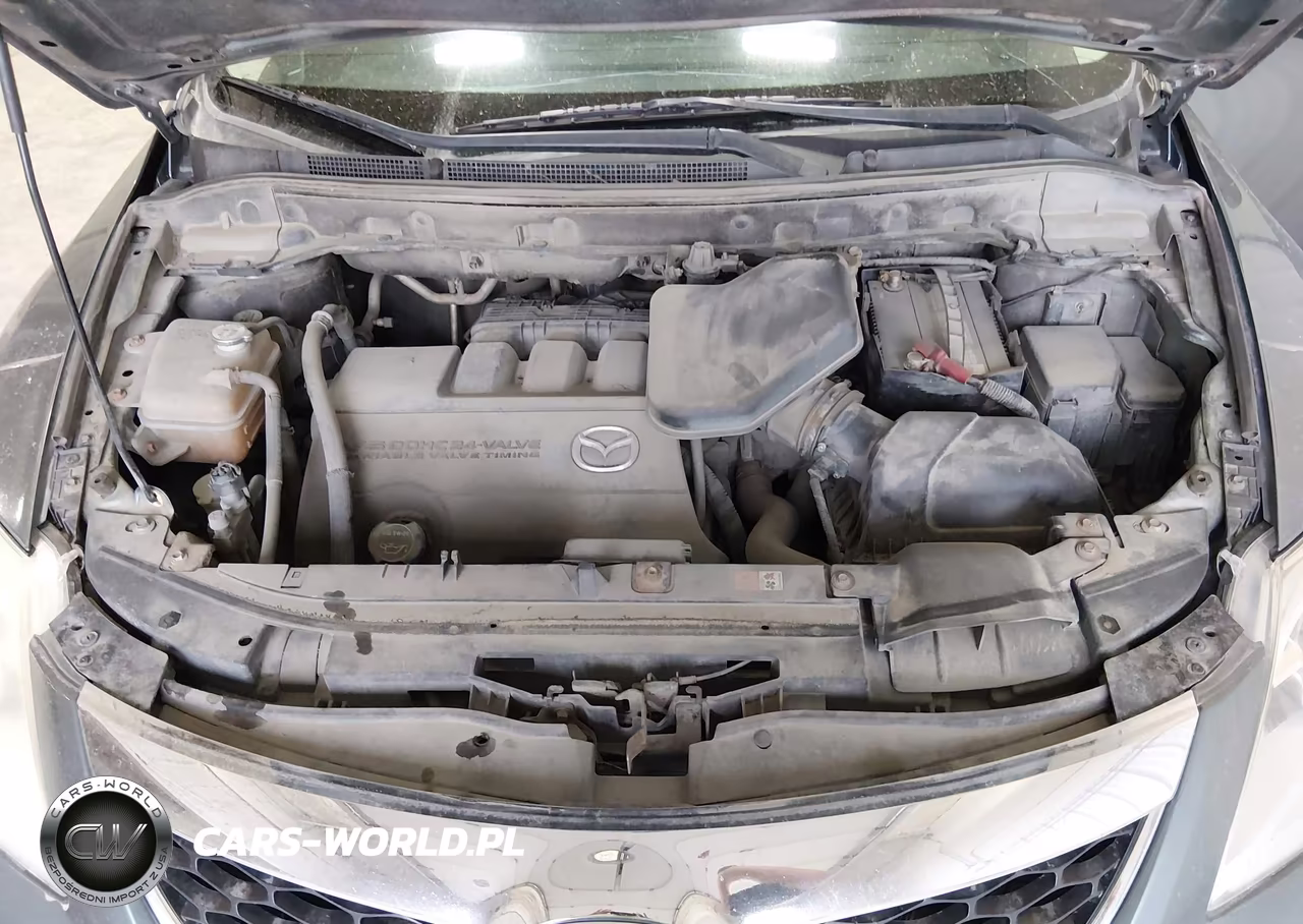2010 Mazda Cx-9 Touring VIN:JM3TB3MA2A0225802 - 10