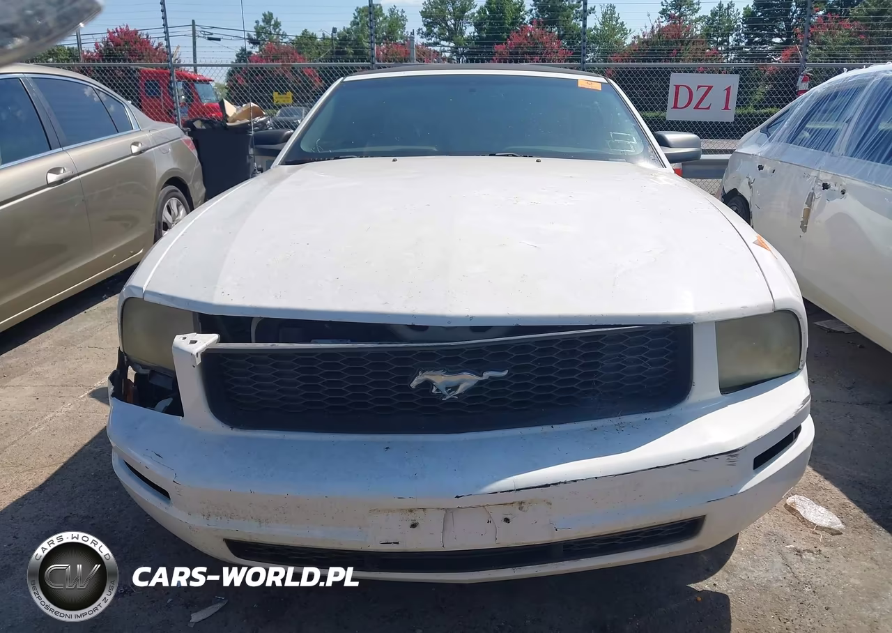 2005 Ford Mustang VIN:1ZVFT84N355258610 - 11