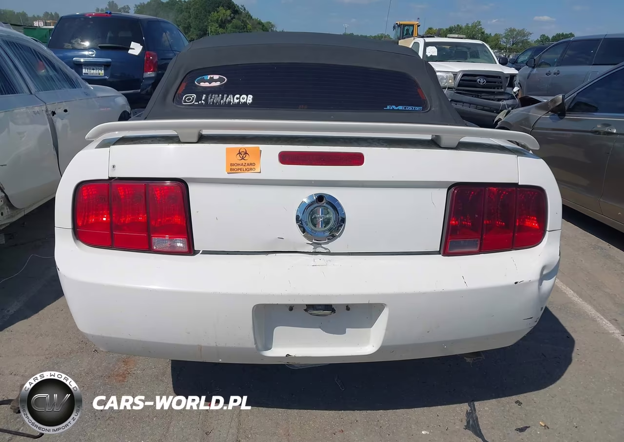 2005 Ford Mustang VIN:1ZVFT84N355258610 - 15