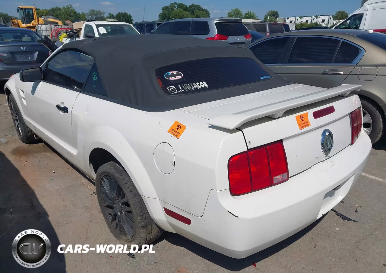 2005 Ford Mustang VIN:1ZVFT84N355258610 - 3