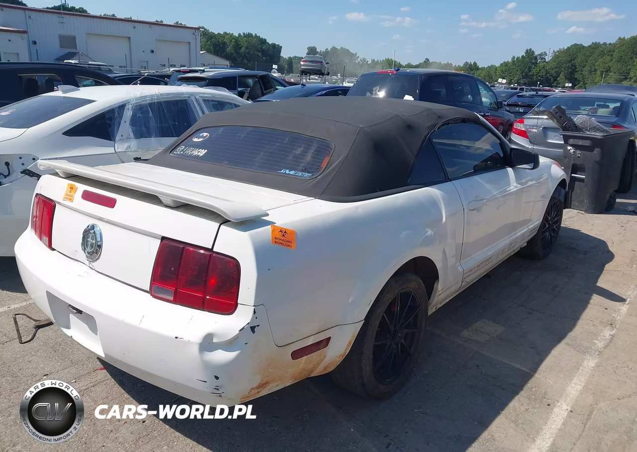 2005 Ford Mustang VIN:1ZVFT84N355258610 - 4