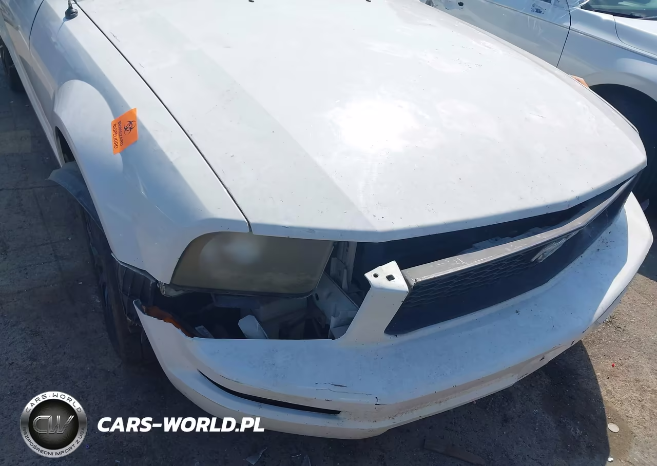 2005 Ford Mustang VIN:1ZVFT84N355258610 - 6