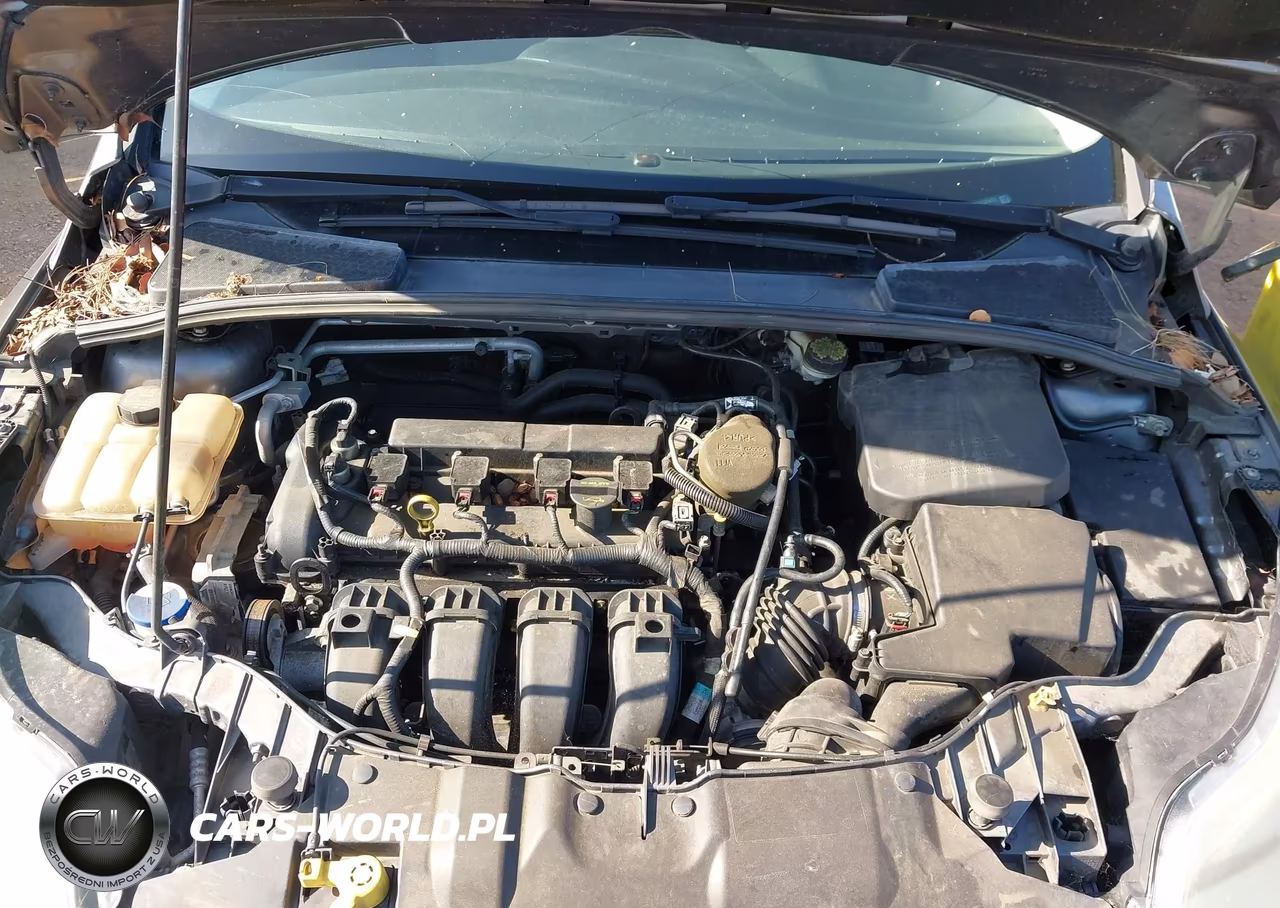 2013 Ford Focus Se VIN:1FADP3K21DL374771 - 10