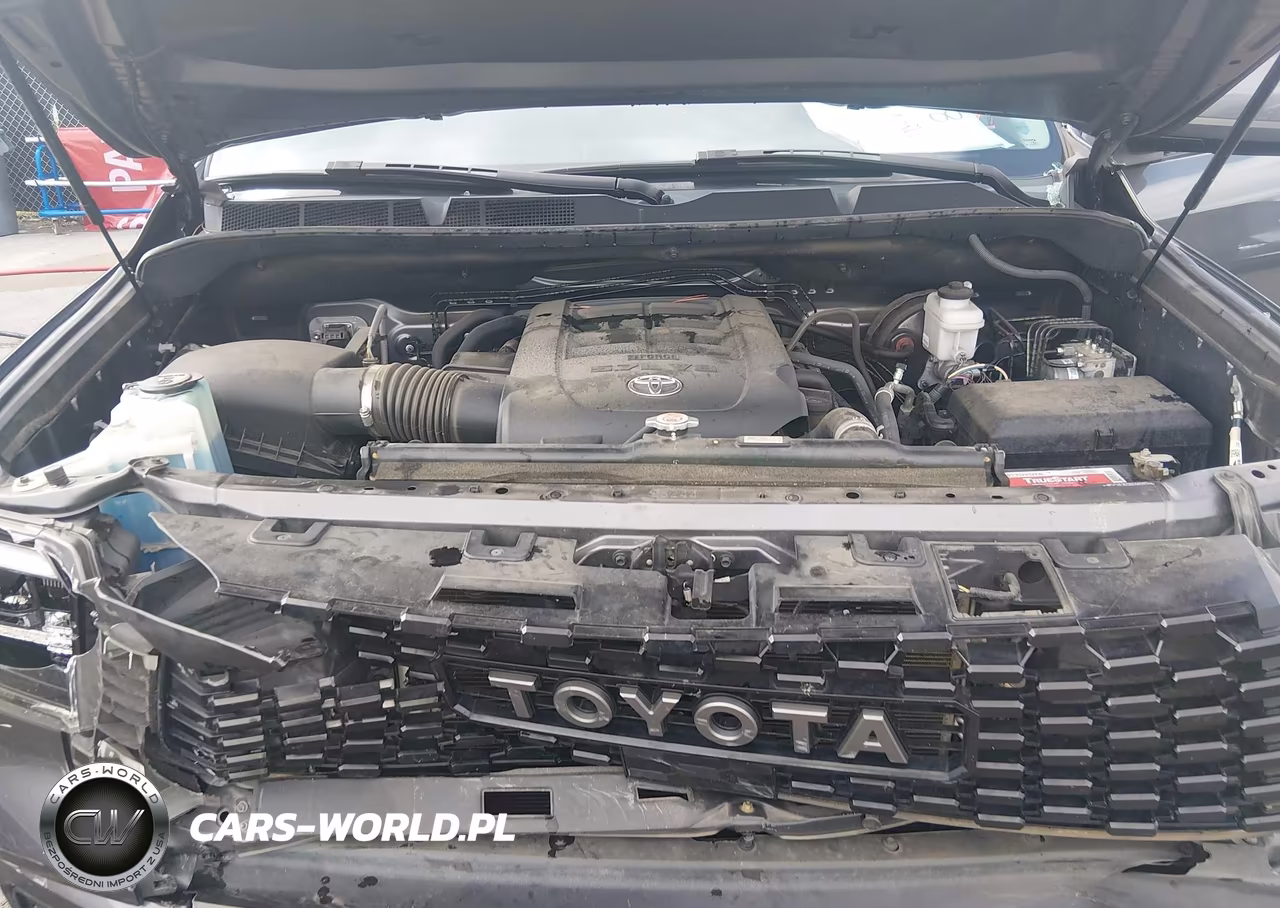 2021 Toyota Tundra Trd Pro VIN:5TFDY5F16MX028650 - 10