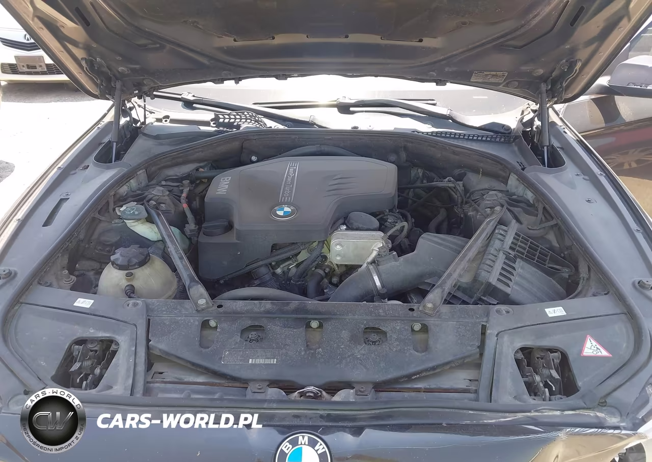 2014 BMW 528I VIN:WBA5A5C59ED500856 - 10
