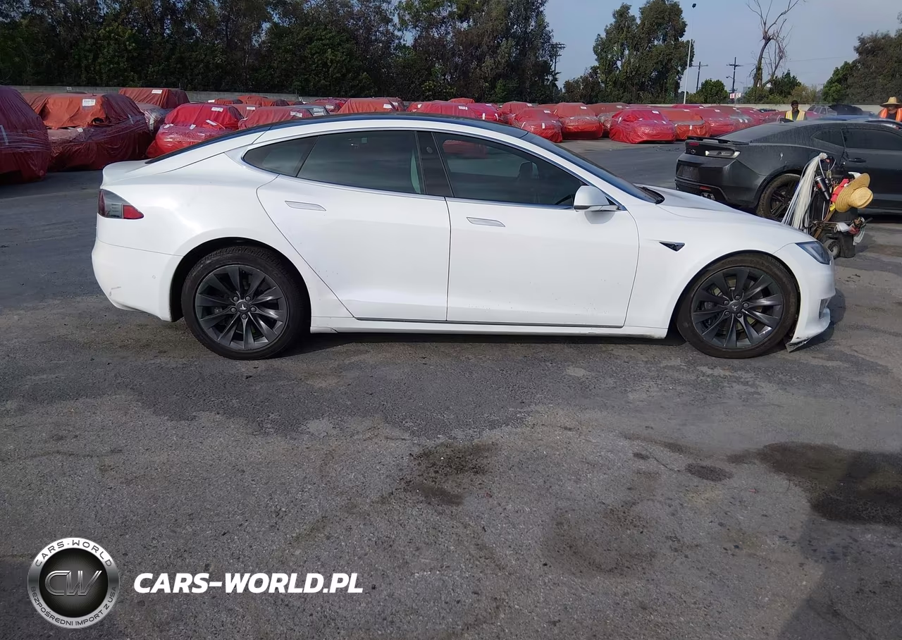 2018 Tesla Model S 100D-75D-P100D VIN:5YJSA1E2XJF286240 - 13