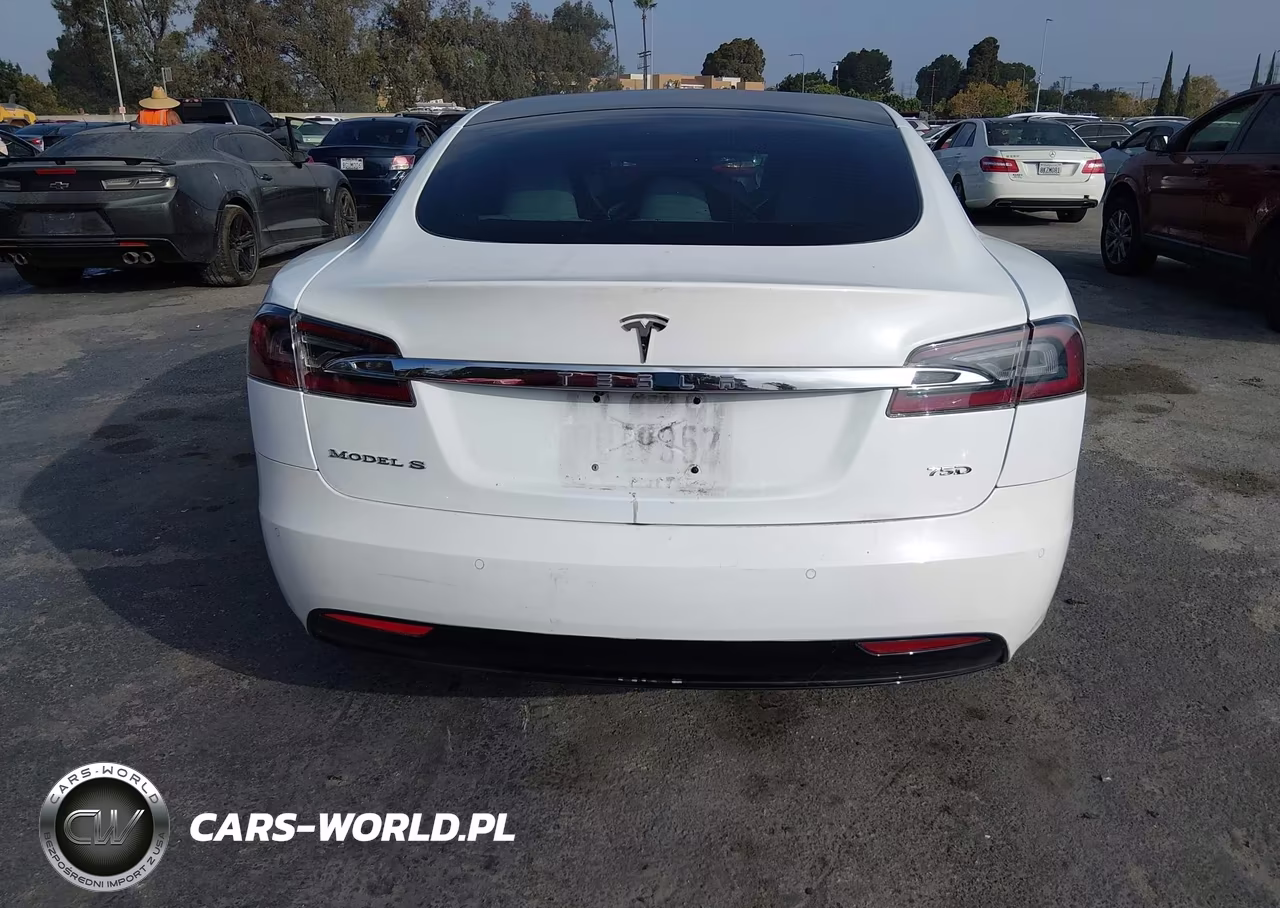 2018 Tesla Model S 100D-75D-P100D VIN:5YJSA1E2XJF286240 - 16