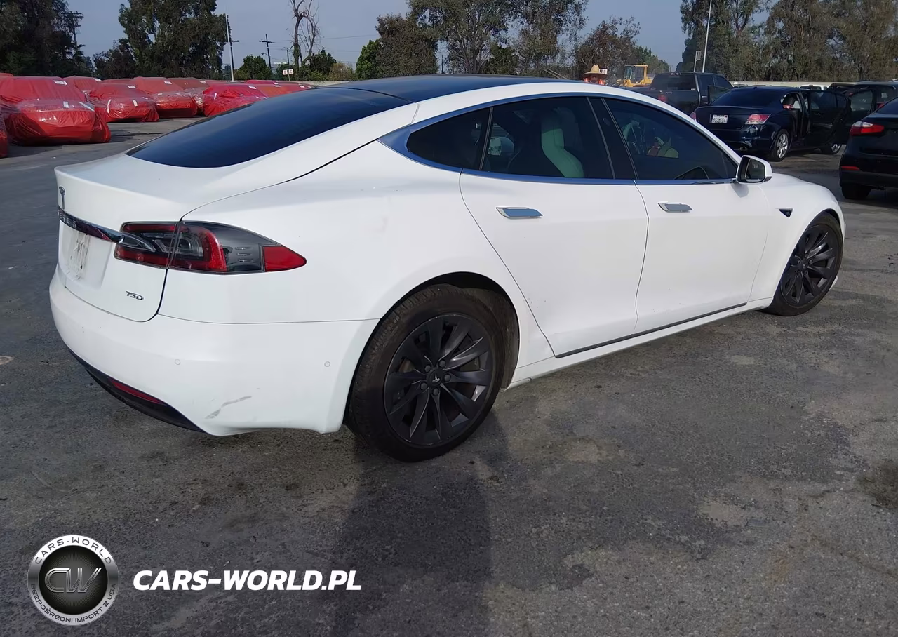 2018 Tesla Model S 100D-75D-P100D VIN:5YJSA1E2XJF286240 - 4